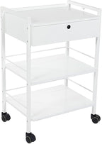 SKINACT Pro Single Drawer Cart Pro Medical Dental Mobile Utility Cabinet & Cart by SkinAct