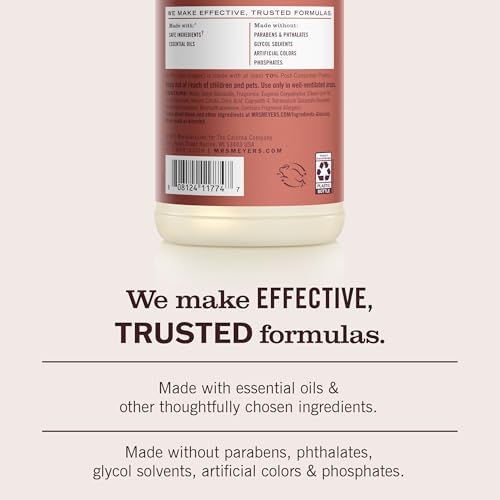 Mrs. MEYER'S CLEAN DAY Multi-Surface Everyday Cleaner,Fall Leaves Scent,16 Fl Oz Bottle,(Pack of 2)