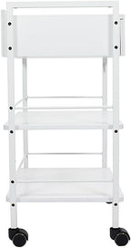 SKINACT Pro Single Drawer Cart Pro Medical Dental Mobile Utility Cabinet & Cart - Image 5