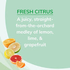 Citrus Magic Odor Absorbing Solid Air Freshener, Fresh Citrus - Image 7