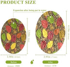 Autumn Colorful Leaves Dish Scrub Sponges Kitchen Fall Non Scratch Reusable Compressed Cellulose Sponge Hanging for Household Cleaning Washing Dishes Pots and Pans 3 Pack - Image 2