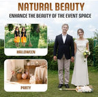 Natural Whisk Sweeping Hand Handle Broom - Brooms for Wedding Jumping Ceremony Halloween DIY Decoration - Vietnamese Straw Soft Broom - 12.2" Width, 27.95" Length