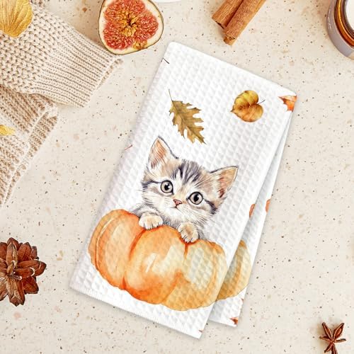 Fall Pumpkin Decor Dish Kitchen Towels Set of 2 - Image 4
