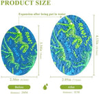 Dish Sponge 3Pcs Kitchen Sponges Non-Scratch Soft Expandable Washing Dishes Stain Odor Resistant Cellulose Sponges Packs for Dish Bathroom Household Dinosaur Skeletons Green Blue - Image 2