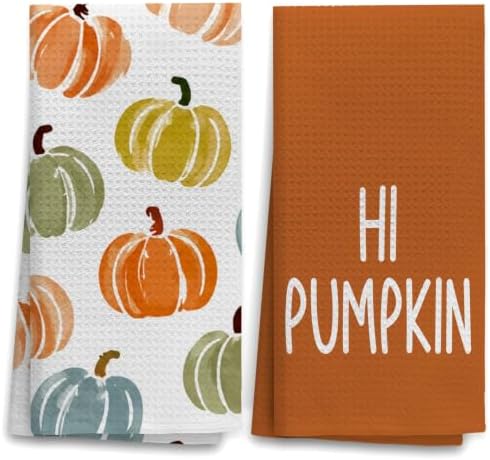 OHSUL Fall Colorful Pumpkin Kitchen Dish Towels Dishcloth 16x24 Set of 2 by OHSUL