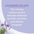 Citrus Magic Odor Absorbing Solid Air Freshener, Lavender Escape - Image 3