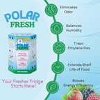 All-in-1 Refrigerator Deodorizer & Produce Saver by Polar Fresh – Fridge Odor - Image 2