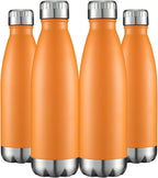 HASLE OUTFITTERS 17oz Stainless Steel Water Bottles Bulk, Vacuum Insulated by HASLEOUTFITTERS