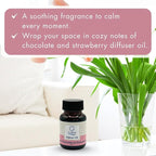 G's Breeze Dark Chocolate & Strawberry Diffuser Oil Refill - Image 4