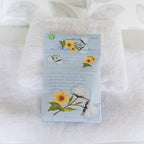 WILLOWBROOK | Fresh Scents Scented Sachet Packet | White Cotton | Air Freshener - Image 3
