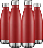HASLE OUTFITTERS 17oz Stainless Steel Water Bottles Bulk, Vacuum Insulated by HASLEOUTFITTERS