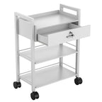 Paddie Salon Trolley Cart, Wooden Mobile Utility Cabinet Lab Cart - Image 5