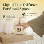 Enviroscent Non-Toxic Air Freshener - Image 5