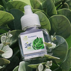 Scent Fill 100% Natural Eucalyptus Plug in Air Freshener, Scented Oil Refills - Image 3