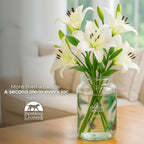Pine Candle - Large 22oz Glass Jar - Decorated Jar Within a Presentation Gift - Image 6