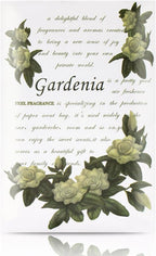 Scented Sachet for Drawers and Closets - Image 2