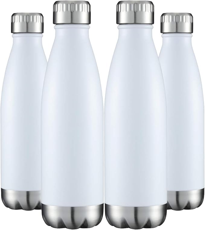 HASLE OUTFITTERS 17oz Stainless Steel Water Bottles Bulk, Vacuum Insulated by HASLEOUTFITTERS