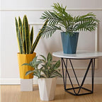 6pcs Trash Can Wastebasket Plastic 2.6 Gallon Garbage Can Container Rubbish - Image 6