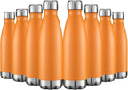 HASLE OUTFITTERS 17oz Stainless Steel Water Bottles Bulk, Vacuum Insulated by HASLEOUTFITTERS