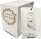 14 Packs Ocean Scented Sachets Bag by LIFFLY