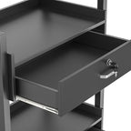 Paddie Salon Trolley Cart, Salon Tray Wooden Mobile Utility Cabinet - Image 5