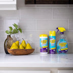 Invisible Glass 91160 Premium Glass and Window Cleaner - Image 6