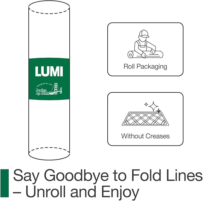 LUMI Ultra Thin Door Mat for Entryway, Easy Clean Welcome Entrance Mat for - Image 3