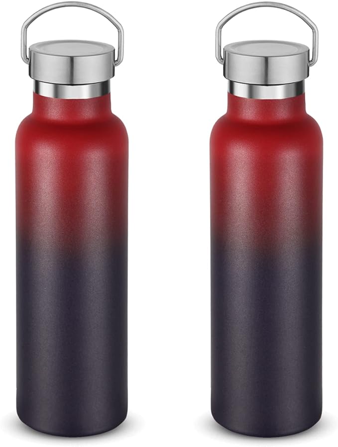 Neihepal 20 oz Insulated Water Bottles Bulk 2 Pack, Stainless Steel Double Wall by Neihepal