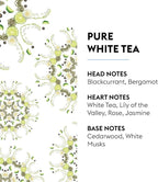 MAISON BERGER - Pure White Tea - Lampe Berger Fragrance Refill - Image 2