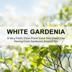 ROSE COTTAGE Large 12 Packs White Gardenia Hanging Closet Deodorizer Air - Image 5