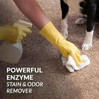 Strong Stain & Odor Eliminator - Image 7