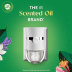 Air Wick Plug in Scented Oil Refill, Lavender & Chamomile, Air Freshener - Image 2