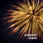 PULSE Non Stops Laundry Scent Boosters - Image 6