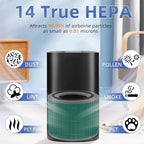 240 True HEPA Toxin Absorber Replacement Filter 14 - Image 6