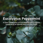 ROSE COTTAGE Large 12 Packs Eucalyptus Peppermint Hanging Closet Air Freshener - Image 5
