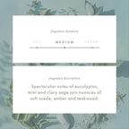 ScentAir Whisper Home Monthly Plug-in Refill, Fragrance Cartridge - Image 4