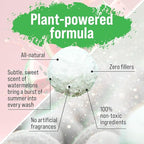 Rockin' Green Classic Rock Laundry Detergent, Plant based, All Natural Laundry - Image 3