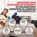 Honeywell True HEPA Replacement Filter - Image 4