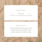 ScentAir Whisper Home Monthly Plug-in Refill, Fragrance Cartridge - Image 4