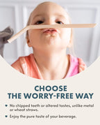 Nightingale Reusable Silicone Straws - Image 4