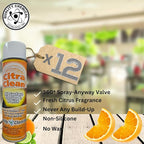 Quality Chemical Citra Clean aerosol - Image 3