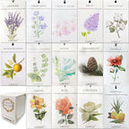 14 Packs Scented Sachets fit Drawers and Closets 14 Different Scent Gift Box by LIFFLY
