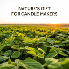 NORVENCE Soy Wax for Candle Making, Natural Soy Wax Flakes 1lb, Premium Candle - Image 2