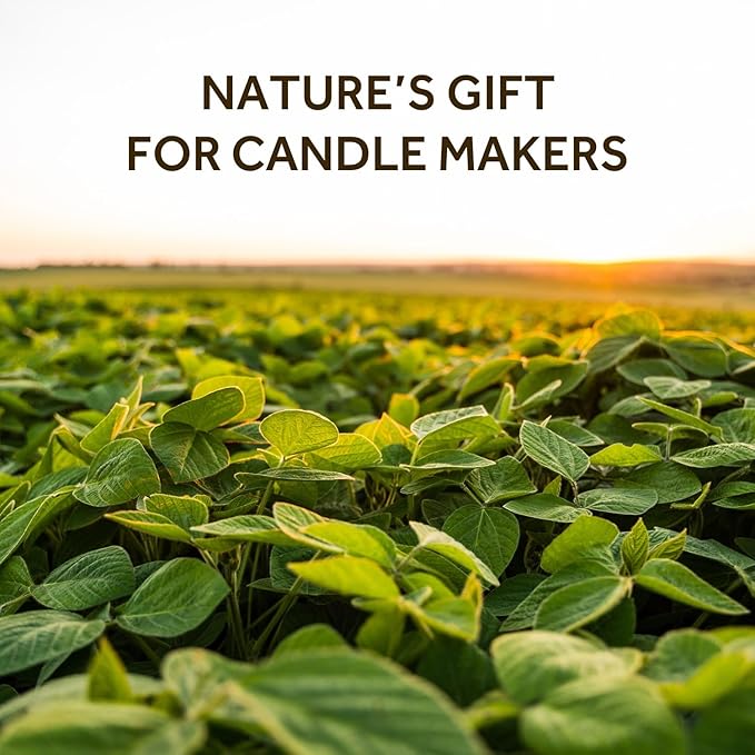 NORVENCE Soy Wax for Candle Making, Natural Soy Wax Flakes 5lb, Premium Candle - Image 2