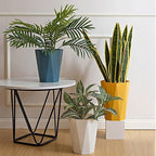 Small Bathroom Trash Can 2 Pack Garbage Can 1.8 Gallon Waste Basket - Image 3