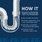 Fruit Fly Drain Treatment | Drain Fly Eliminator | All-Natural, Eliminates Gnats - Image 5