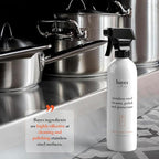 Bayes High-Performance Stainless Steel Cleaner Spray, and Protectant - Image 2