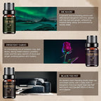 Hotel Diffuser Oils, Hotel Collection Diffuser Oil, Luxury Essential Oil Set - Image 5