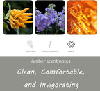 Car Air Freshener, Stone Air Freshener, Odor Eliminator, Amber Scent Refill - Image 4