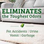 Biokleen Bac-Out Stain Remover for Clothes & Carpet - Image 3